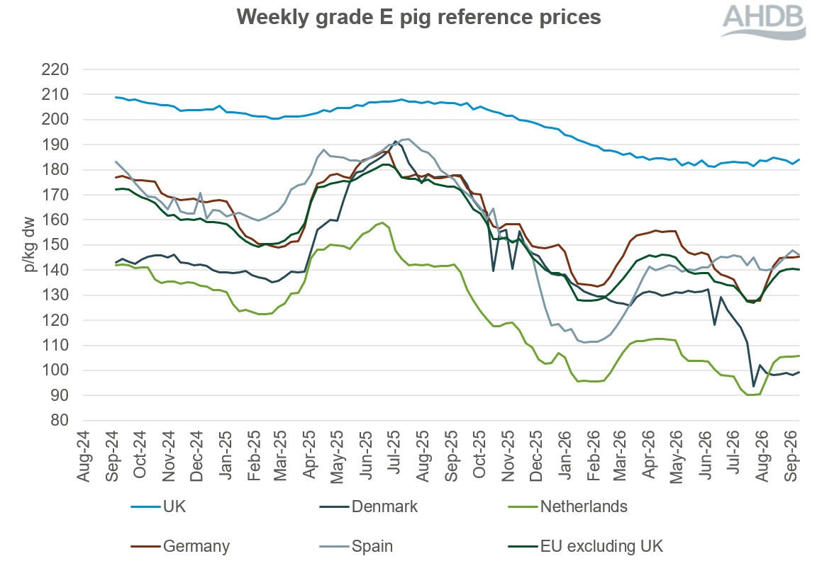 Line graph of EU grade E pig prices for two years up to 13 September 2026.